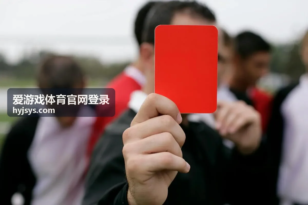 爱游戏体育官网登录界面与账号验证流程示意