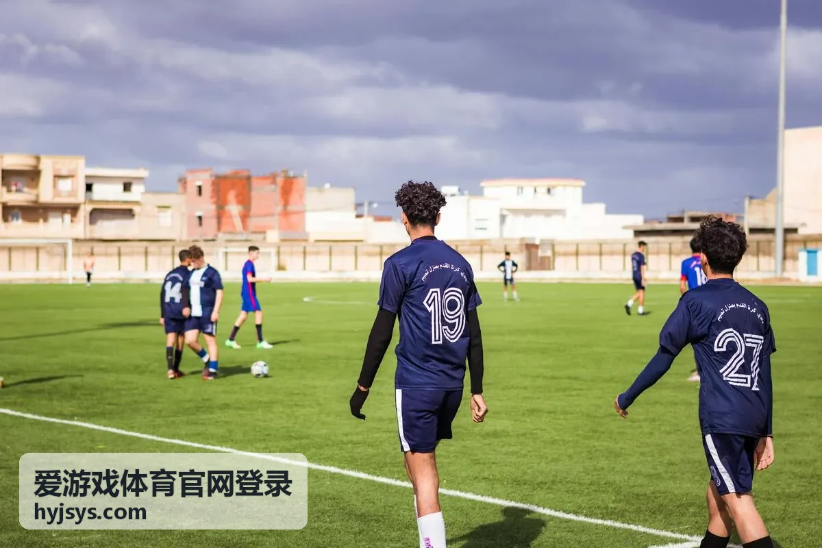 爱游戏体育官网登录客服支持与咨询示意