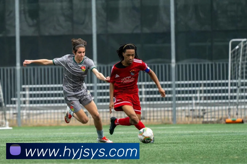 世界杯开户平台平台生态图